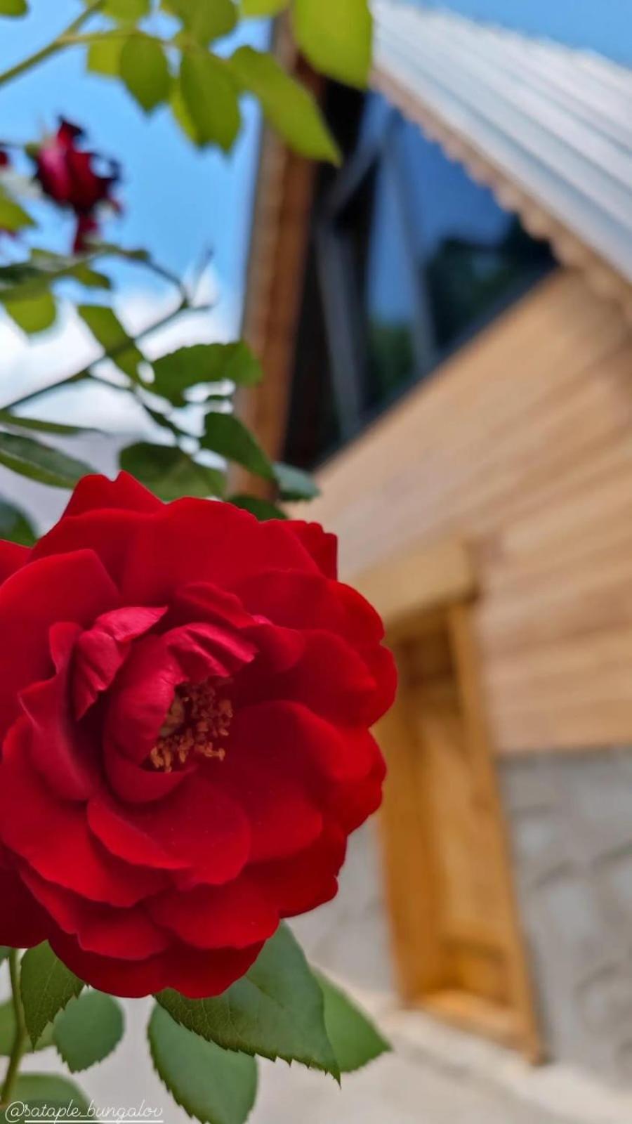 Sataplebungalov Çamlıhemşin Bagian luar foto